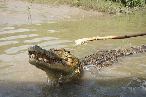 Litchfield And Jumping Crocodiles Full Day Trip From Darwin - C Tourism 17