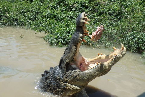 Litchfield And Jumping Crocodiles Full Day Trip From Darwin - C Tourism 18