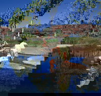 Palm Valley 4WD Tour - C Tourism