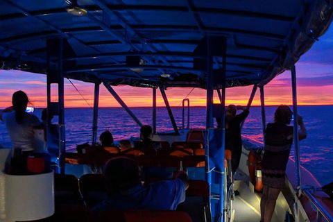 Darwin Sunset Cruise, Including Fish \'n\' Chips - C Tourism 9