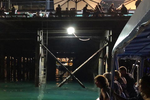 Darwin Sunset Cruise, Including Fish \'n\' Chips - C Tourism 8