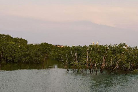 1-Hour Darwin Harbour Highlights Cruise - C Tourism 7
