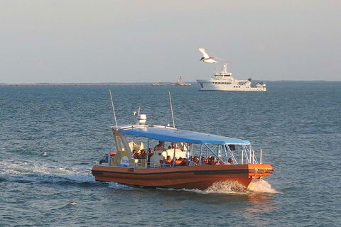 1-Hour Darwin Harbour Highlights Cruise - C Tourism 2