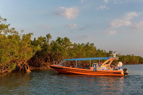 1-Hour Darwin Harbour Highlights Cruise - C Tourism 3