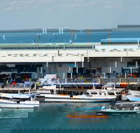 Darwin Harbour Bombing of Darwin Cruise - C Tourism