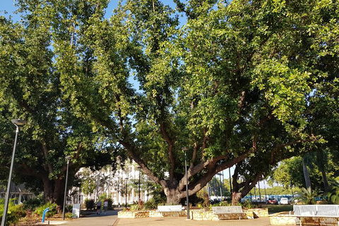 Darwin Heritage Walk - C Tourism 4