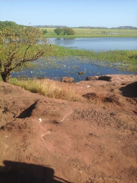 3-Day Kakadu National Park And Arnhem Land Explorer Tour From Darwin - C Tourism 22