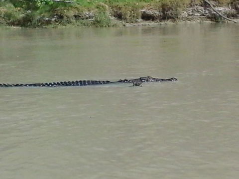 3-Day Kakadu National Park And Arnhem Land Explorer Tour From Darwin - C Tourism 7