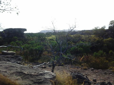 3-Day Kakadu National Park And Arnhem Land Explorer Tour From Darwin - C Tourism 14