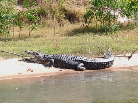 3-Day Kakadu National Park And Arnhem Land Explorer Tour From Darwin - C Tourism 6