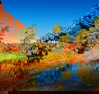 Palm Valley 4WD Day Tour - C Tourism