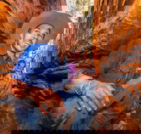 3-Day Red Centre Camping Safari from Alice Springs or Ayers Rock Including Kings Canyon - C Tourism