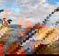 2-Day Uluru Ayers Rock and Kings Canyon Tour from Alice Springs - C Tourism