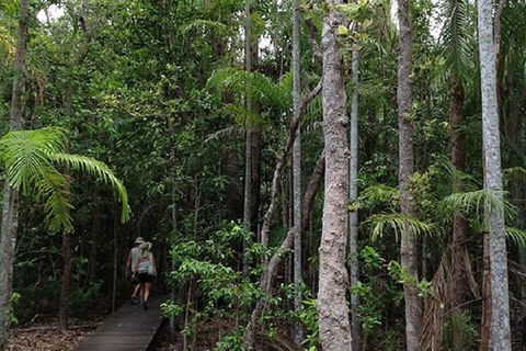 Litchfield National Park And Jumping Crocodile Cruise - C Tourism 5