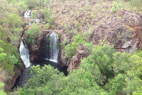 Litchfield National Park And Jumping Crocodile Cruise - C Tourism 9