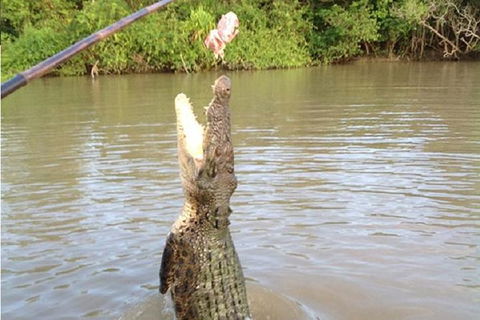Litchfield National Park And Jumping Crocodile Cruise - C Tourism 10