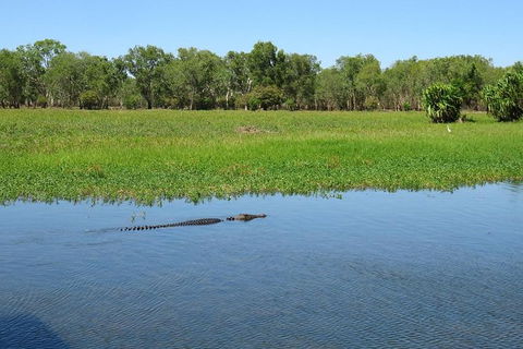 Darwin To Kakadu Day Trip By Air Including Yellow Water Cruise - C Tourism 8