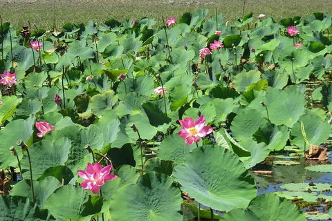Darwin To Kakadu Day Trip By Air Including Yellow Water Cruise - C Tourism 10
