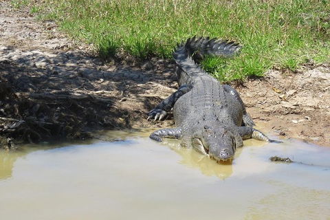 Darwin To Kakadu Day Trip By Air Including Yellow Water Cruise - C Tourism 5
