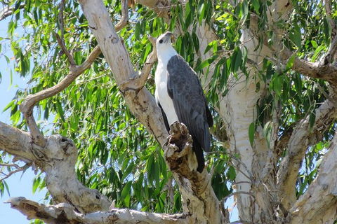 Darwin To Kakadu Day Trip By Air Including Yellow Water Cruise - C Tourism 6