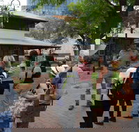 Alice Springs Walking Tours - C Tourism