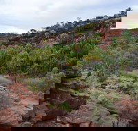 Palm Valley and Hermannsburg 1 Day 4WD Tour - C Tourism