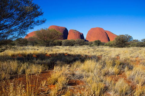 Ayers Rock 4 Tour Combo: Complete Uluru Base Walk At Sunrise, Valley Of The Winds At Sunrise, Kata Tjuta Sunset And Uluru Sunset - C Tourism 12