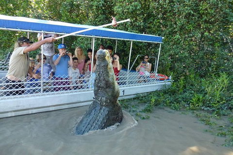 Jumping Croc Cruise - C Tourism 1
