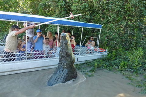 Jumping Croc Cruise - C Tourism 0