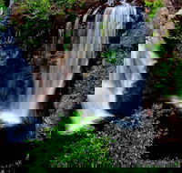 Litchfield Dreams 1 Day National Park Waterfall Swimming  Jumping Croc Cruise - C Tourism