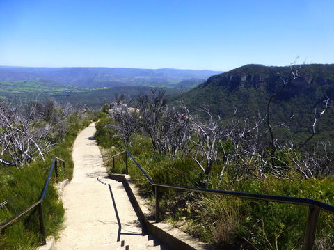 All Inclusive Blue Mountains Small-Group Day Trip From Sydney - C Tourism 9