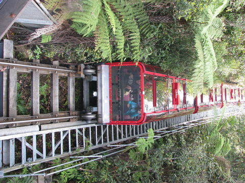 All Inclusive Blue Mountains Small-Group Day Trip From Sydney - C Tourism 16