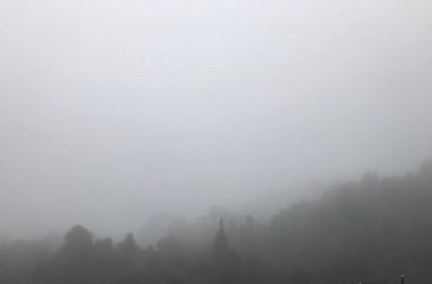 All Inclusive Blue Mountains Small-Group Day Trip From Sydney - C Tourism 20