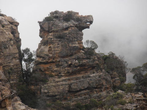 All Inclusive Blue Mountains Small-Group Day Trip From Sydney - C Tourism 6