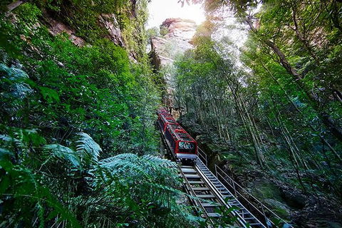 All Inclusive Blue Mountains Small-Group Day Trip From Sydney - C Tourism 27