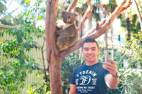 All Inclusive Full-Day Blue Mountains Trip From Sydney - C Tourism 1