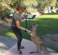 Sydney Private Day Tours - Central Coast Beaches Plus Wildlife  Reptile Park - C Tourism