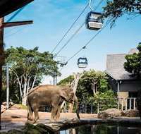 Sydney Taronga Zoo General Entry Ticket and Wild Australia Experience - C Tourism