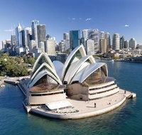 Sydney Morning Tour with Optional Lunch Cruise or Sydney Opera House Tour Upgrade - C Tourism