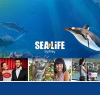 Sydney Attractions Pass SEA LIFE Aquarium Sydney Tower Eye WILD LIFE Zoo and Madame Tussauds - C Tourism