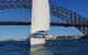 Whale Watching Sailing Experience In Sydney - thumb 3