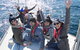 Whale Watching Sailing Experience In Sydney - thumb 7