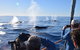 Whale Watching Sailing Experience In Sydney - thumb 5