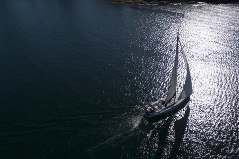 Whale Watching Sailing Experience In Sydney - C Tourism 10