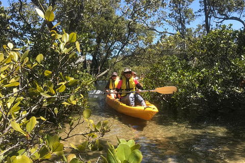 Paddle In Paradise - 4 Hours Double Kayak Hire - C Tourism 1