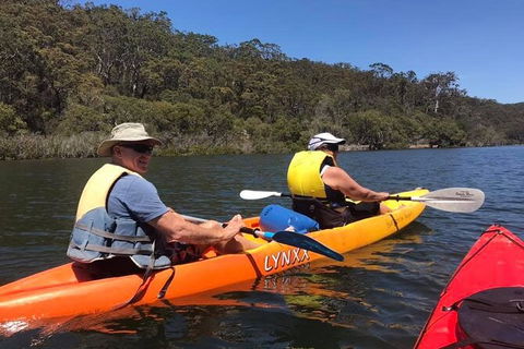 Paddle In Paradise - 4 Hours Double Kayak Hire - C Tourism 4