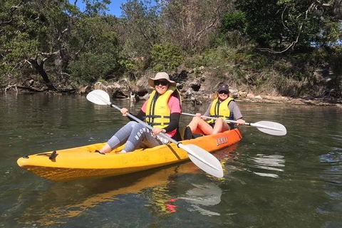 Paddle In Paradise - 4 Hours Double Kayak Hire - C Tourism 6