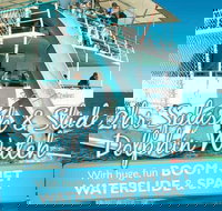 Port Stephens Dolphin Watching Cruise Including Splash and Slide - C Tourism