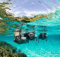 Sydney 3-Hour Snorkeling Tour - C Tourism