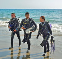Sydney Guided Shore Dive - C Tourism